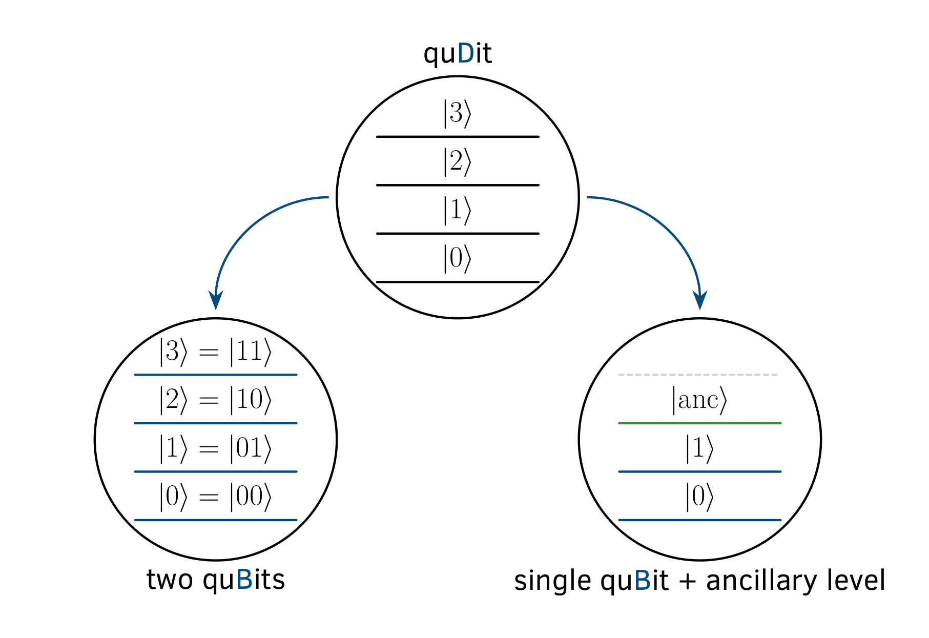 Realizing quantum algorithms on qubits embedded into trapped-ion qudits